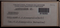 Image Associated With the Occurence